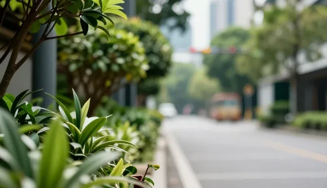 账号代运营在品牌传播中的性能边界与适用场景